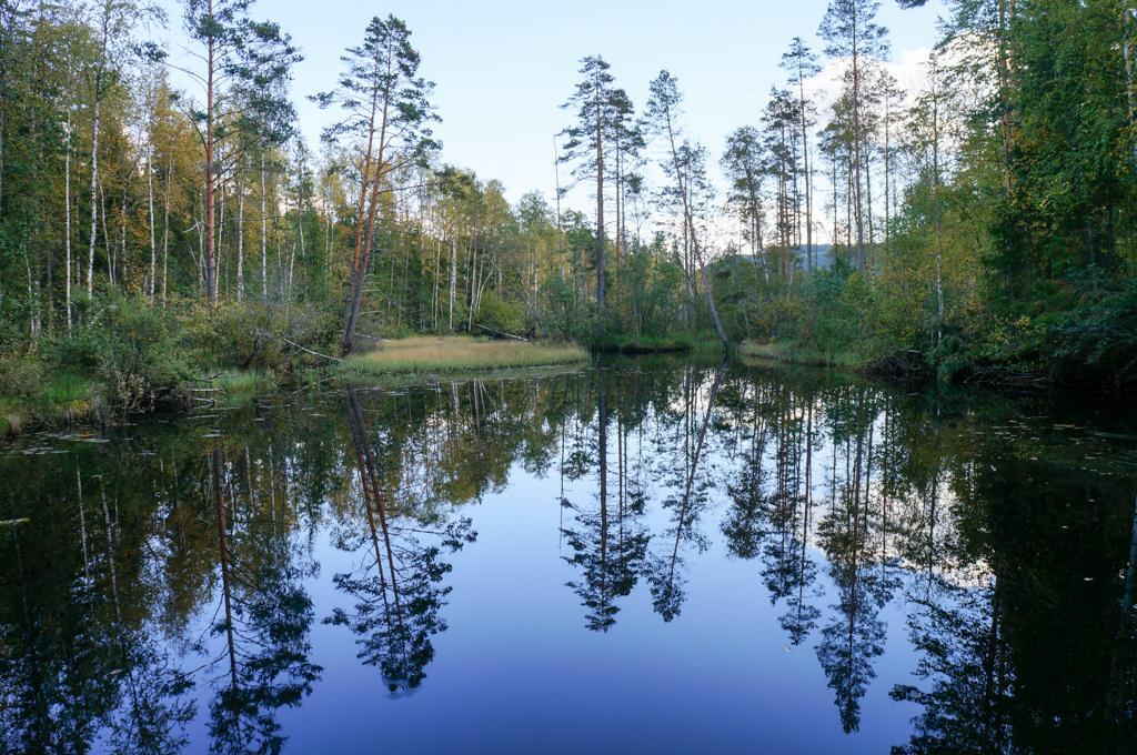 Savolax Stugor Axland Szoba fotó